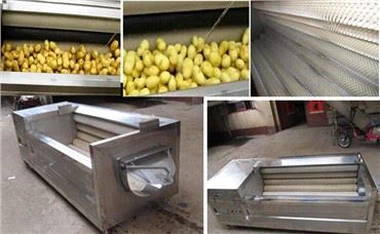 Cartof Morcov Ghimbir Fructe de mare Mașină de spălat legume Mașină de curățat fructe